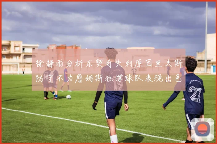 徐静雨分析东契奇失利原因里夫斯防守不力詹姆斯独撑球队表现出色